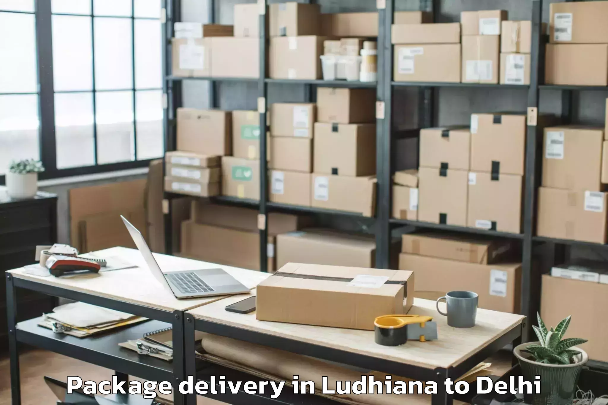 Book Ludhiana to Badarpur Package Delivery